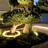Ringförmiger LED-Baumstrahler mit warmweißem Licht im Garten