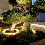 Ringförmiger LED-Baumstrahler mit warmweißem Licht im Garten