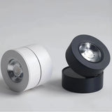 Moderner runder LED-Deckenstrahler verstellbar ideal für Wohnzimmer