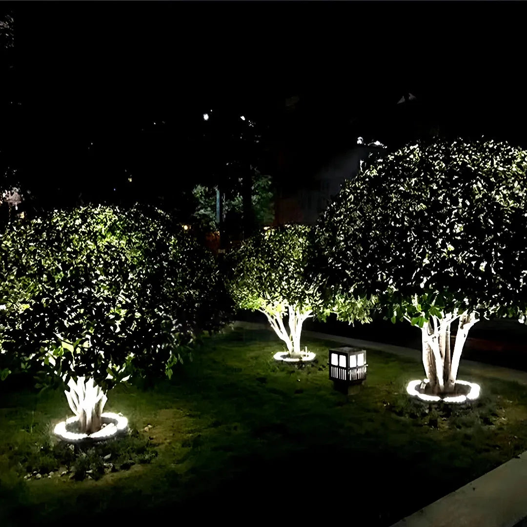 LED-Baumstrahler im Ringdesign rund um einen Baumstamm